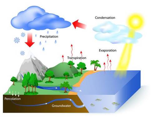 Detail Gambar Proses Siklus Air Nomer 16