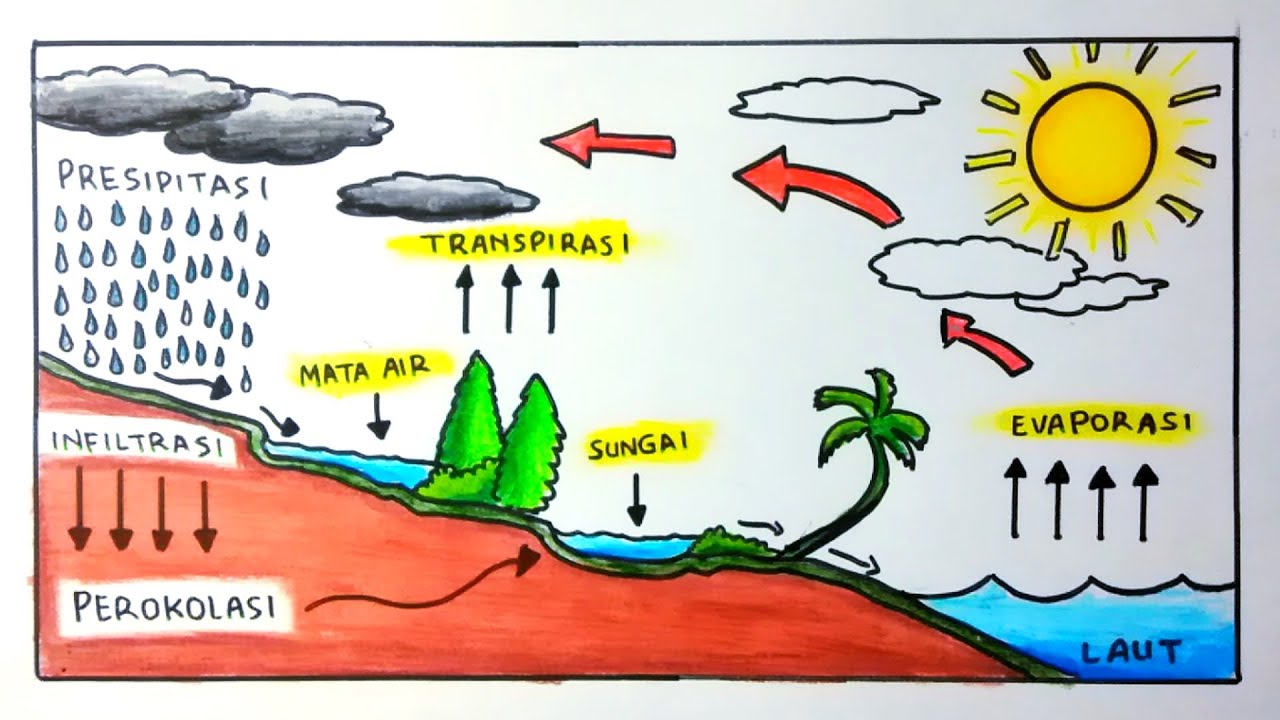 Detail Gambar Proses Siklus Air Nomer 19