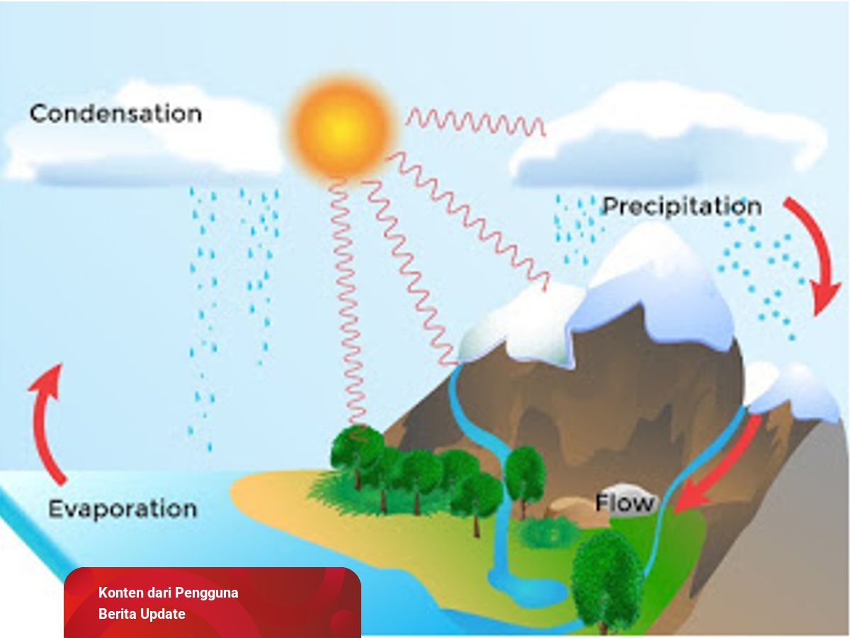 Detail Gambar Proses Siklus Air Nomer 34