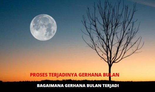 Detail Gambar Proses Terjadinya Gerhana Bulan Nomer 53