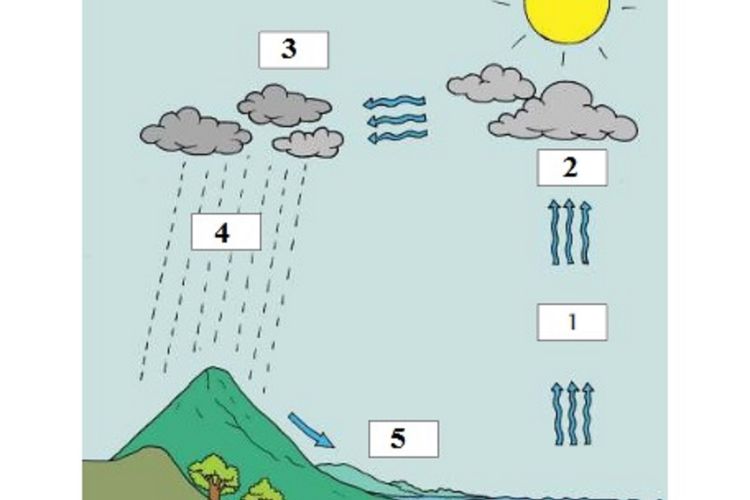 Detail Gambar Proses Terjadinya Hujan Nomer 12