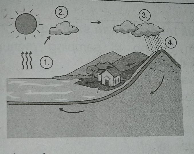 Detail Gambar Proses Terjadinya Hujan Nomer 32