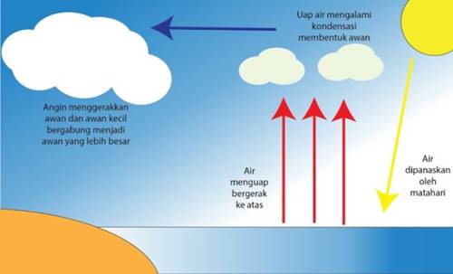 Detail Gambar Proses Terjadinya Hujan Nomer 7