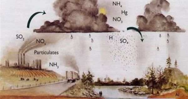 Detail Gambar Proses Terjadinya Hujan Asam Nomer 11