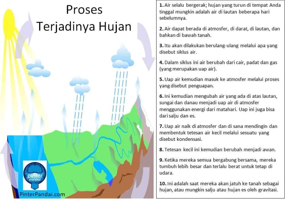 Detail Gambar Proses Terjadinya Hujan Asam Nomer 33