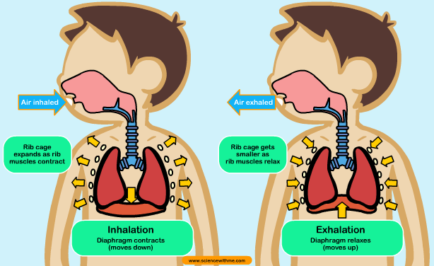 Detail Gambar Proses Terjadinya Tekanan Udara Nomer 9