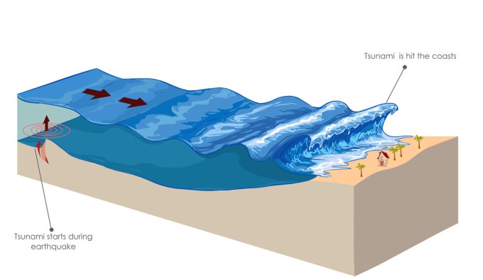 Detail Gambar Proses Terjadinya Tsunami Nomer 8