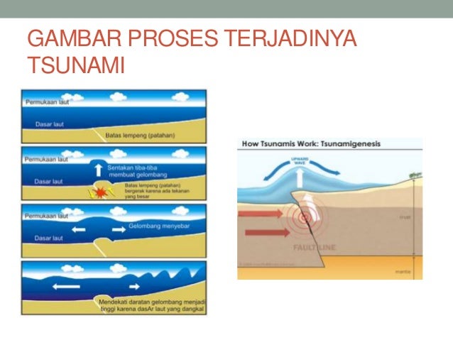 Detail Gambar Proses Terjadinya Tsunami Nomer 19