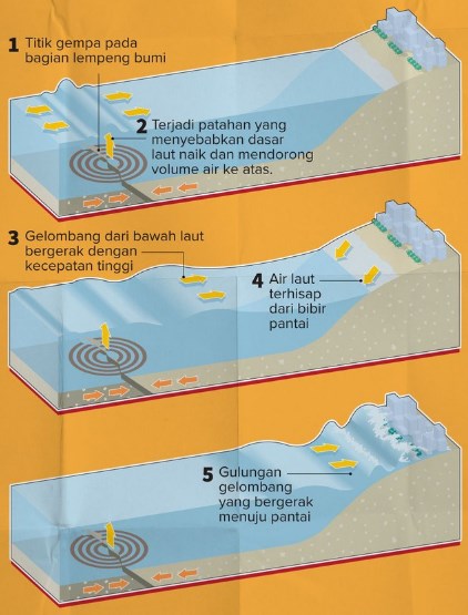 Detail Gambar Proses Terjadinya Tsunami Nomer 3