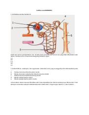 Detail Gambar Proses Urin Nomer 46