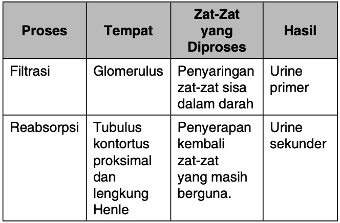 Detail Gambar Proses Urin Nomer 48