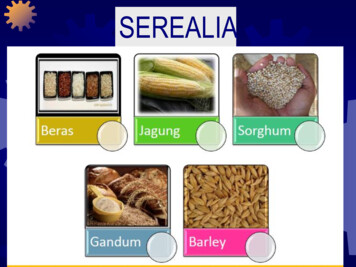 Detail Gambar Prosesnya Pengolahan Beras Nomer 12