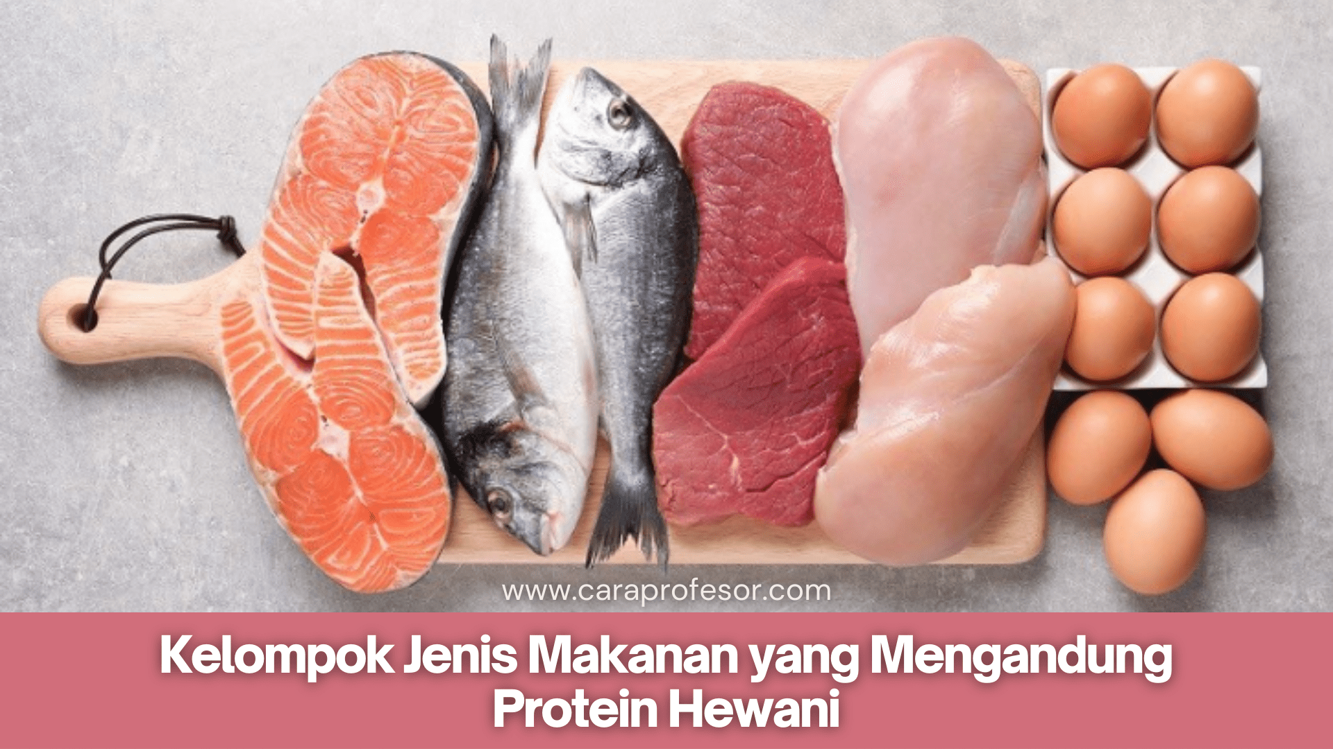 Detail Gambar Protein Hewani Nomer 24