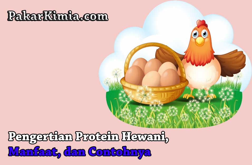 Detail Gambar Protein Hewani Nomer 36