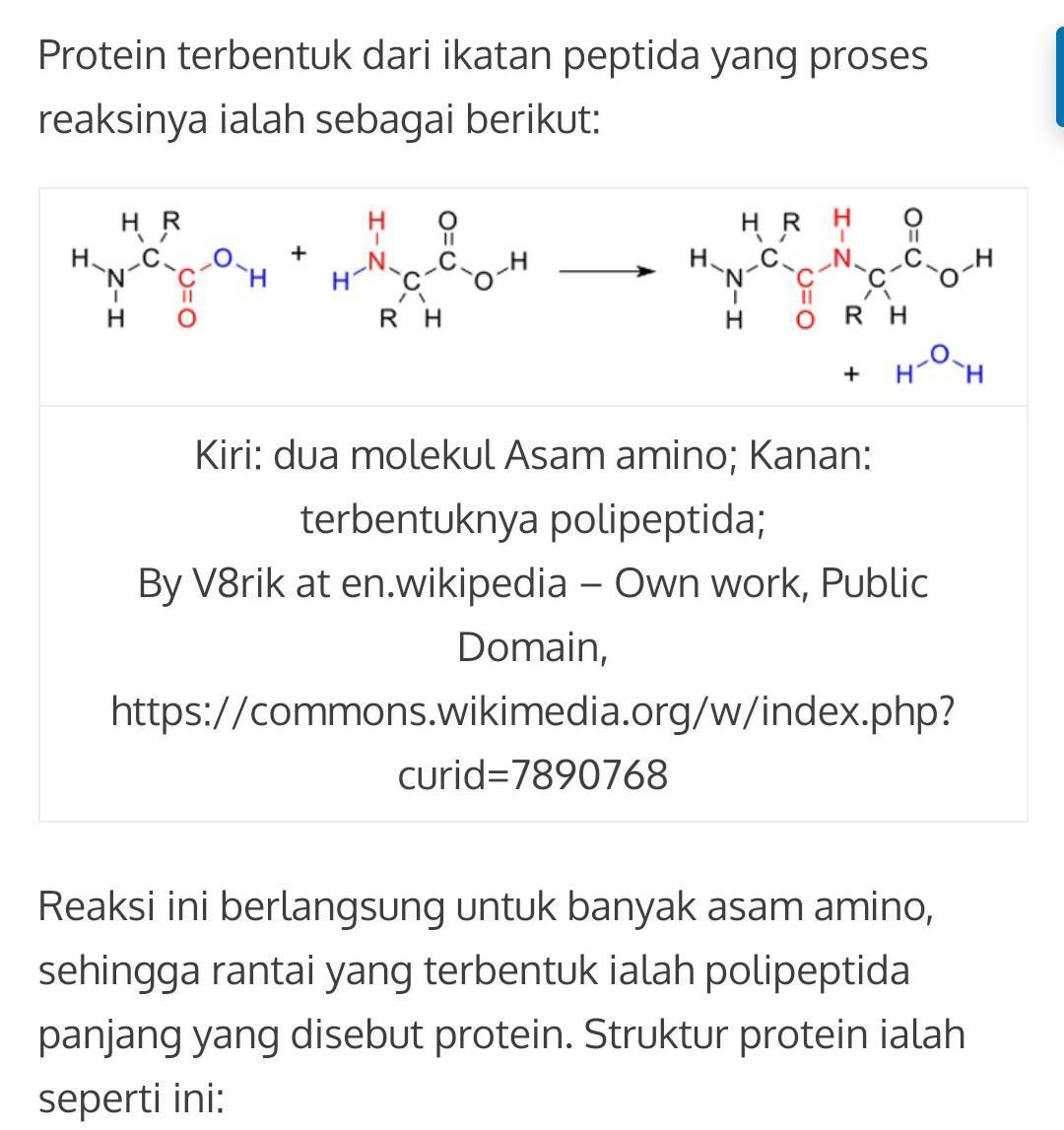 Detail Gambar Protein Sederhana Nomer 12
