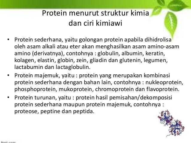 Detail Gambar Protein Sederhana Nomer 17