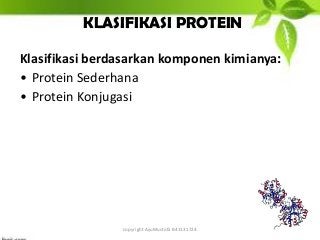 Detail Gambar Protein Sederhana Nomer 22