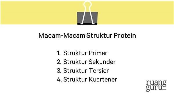 Detail Gambar Protein Sederhana Nomer 24