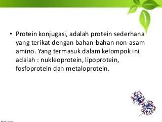 Detail Gambar Protein Sederhana Nomer 5