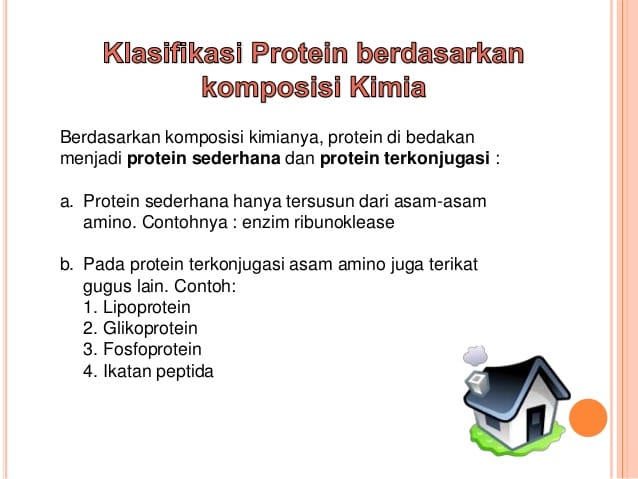 Detail Gambar Protein Sederhana Nomer 6