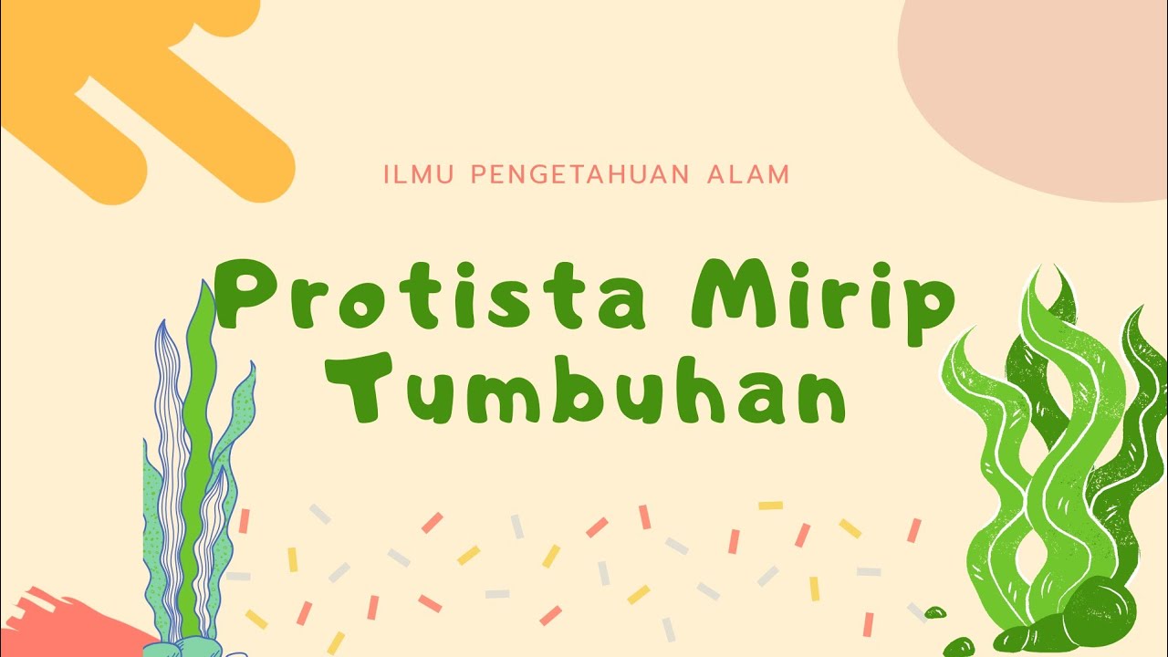 Detail Gambar Protista Tumbuhan Nomer 51