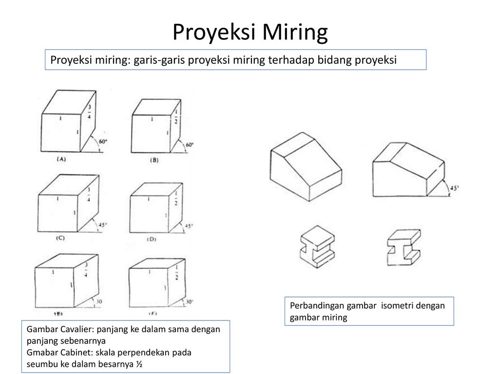 Detail Gambar Proyeksi Miring Nomer 25