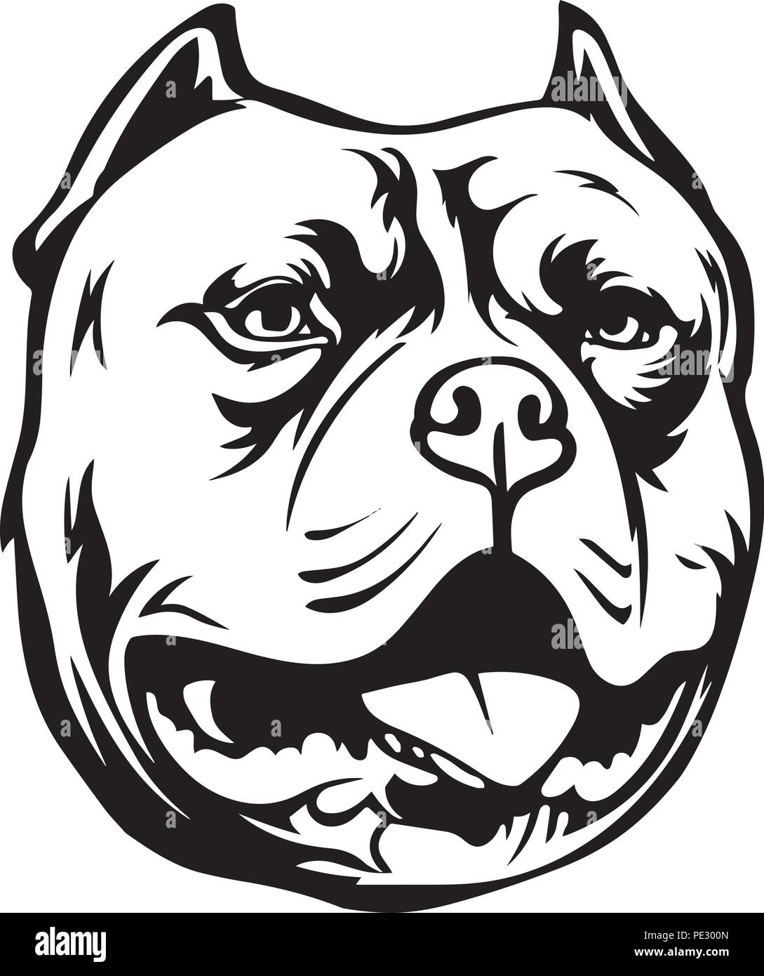 Detail American Bully Red Nose Nomer 20