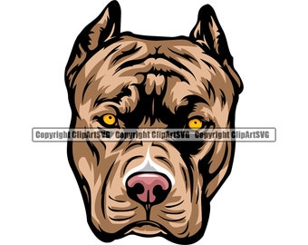 Detail American Bully Red Nose Nomer 7