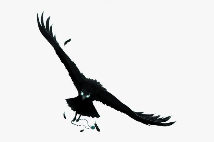 Detail Art Raven Nomer 18