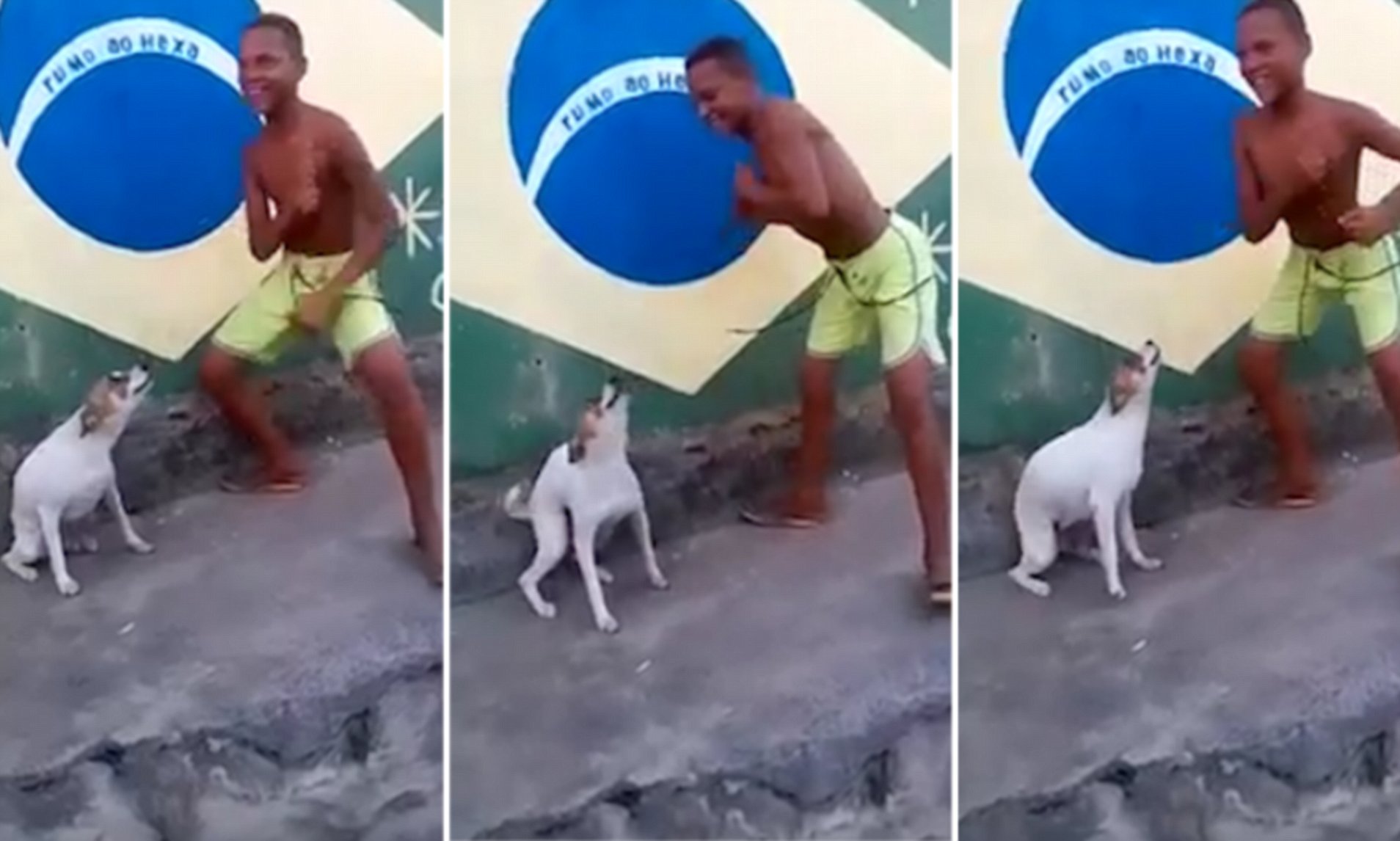 Detail Dancing Brazil Dog Meme Nomer 15