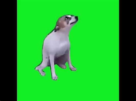 Detail Dancing Brazil Dog Meme Nomer 32