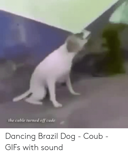 Detail Dancing Brazil Dog Meme Nomer 33