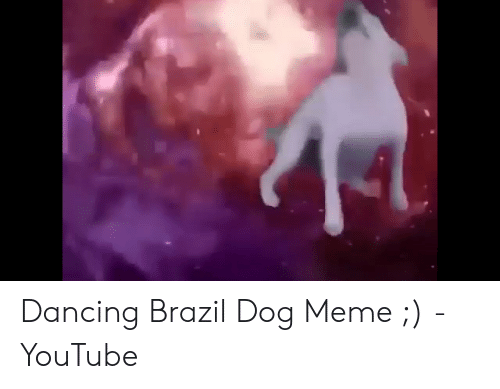 Detail Dancing Brazil Dog Meme Nomer 38