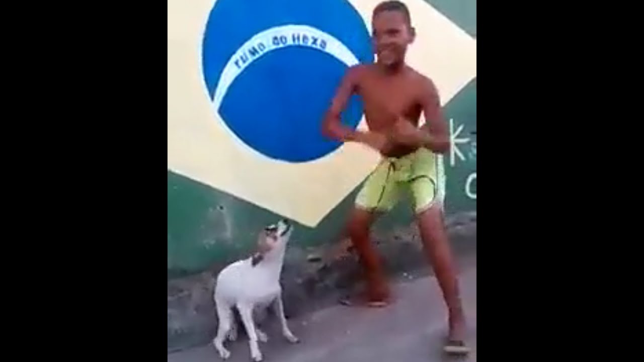 Detail Dancing Brazil Dog Meme Nomer 5