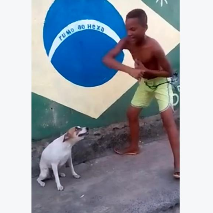 Detail Dancing Brazil Dog Meme Nomer 45