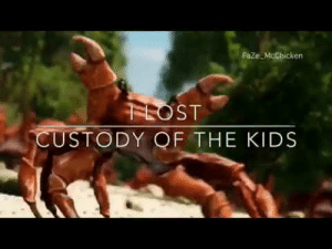 Detail Dancing Crab Meme Generator Nomer 24