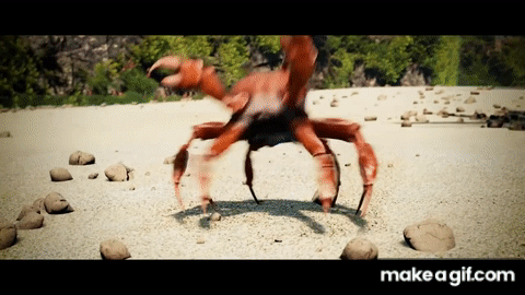 Detail Dancing Crab Meme Generator Nomer 10