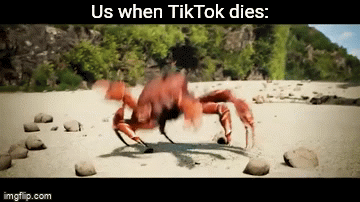 Detail Dancing Crab Meme Template Nomer 12