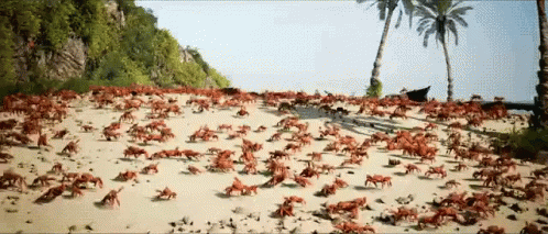 Detail Dancing Crab Meme Template Nomer 20
