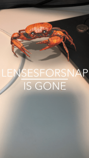 Detail Dancing Crab Meme Template Nomer 21