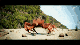 Detail Dancing Crab Meme Template Nomer 4