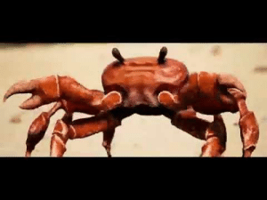 Detail Dancing Crab Meme Template Nomer 31