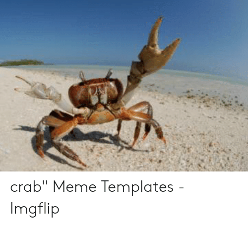 Detail Dancing Crab Meme Template Nomer 56