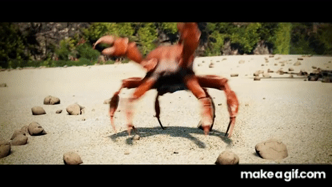 Detail Dancing Crab Meme Template Nomer 10