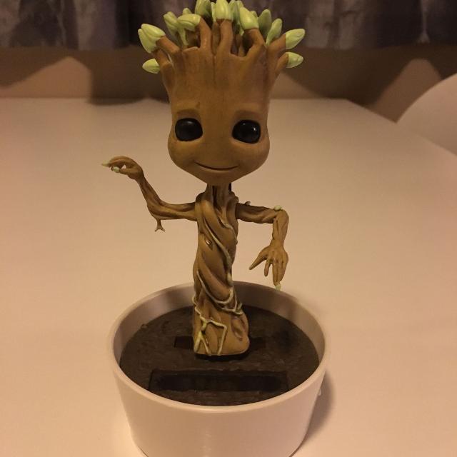 Detail Dancing Groot Solar Nomer 14