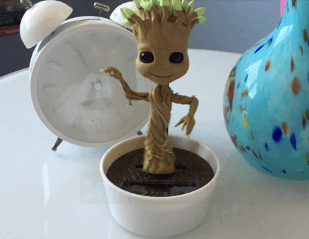 Detail Dancing Groot Solar Nomer 18