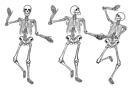 Detail Dancing Skeleton Clipart Nomer 3