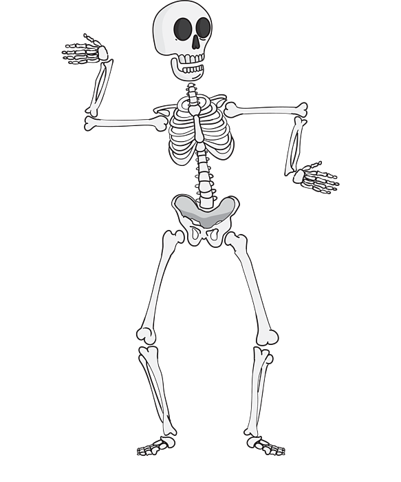 Detail Dancing Skeleton Clipart Nomer 22