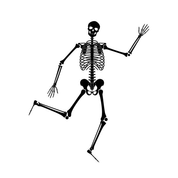 Detail Dancing Skeleton Clipart Nomer 33