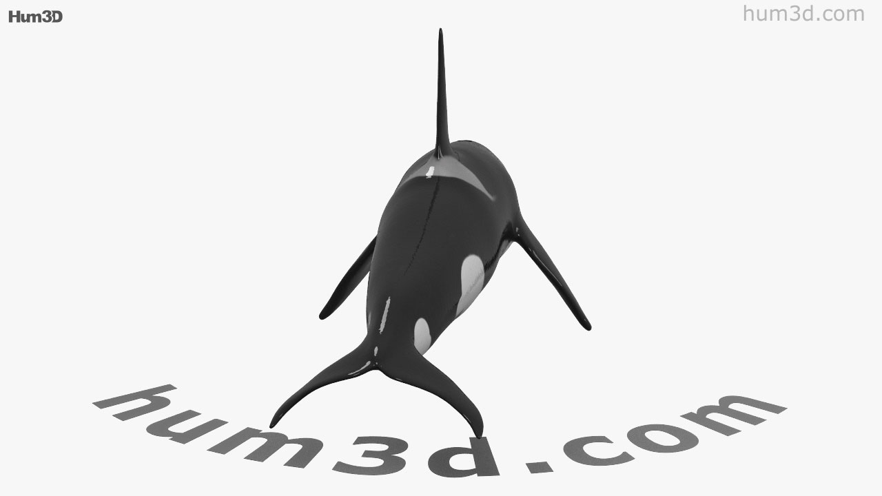 Detail Dancing Whale Cursor Nomer 13